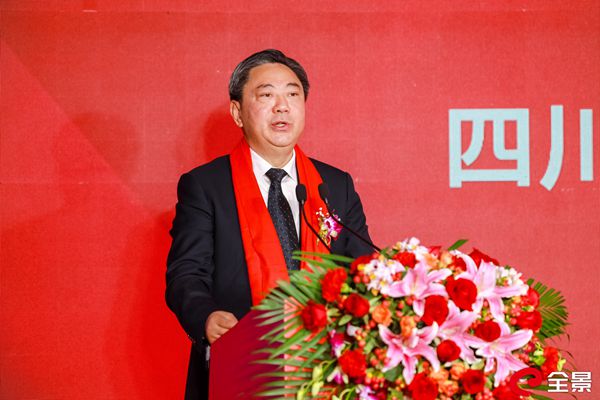 省自然资源厅党组成员、副厅长丁湘致辞_副本.jpg